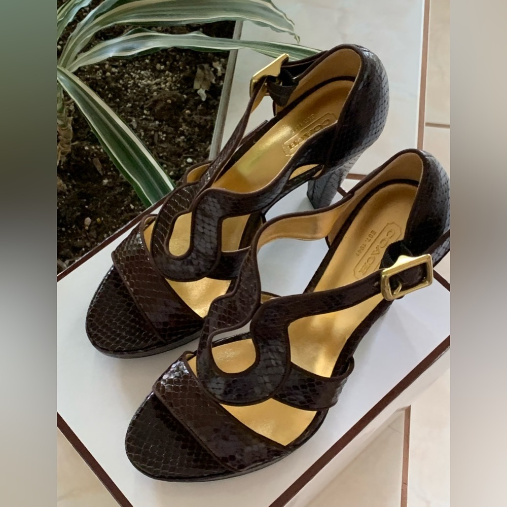 COACH IVANAH PYTHON/NUBUCK CHESTNUT BROWN SIZE 8M NEW IN BOX - Picture 8 of 16